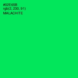 #02E65B - Malachite Color Image