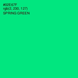 #02E67F - Spring Green Color Image