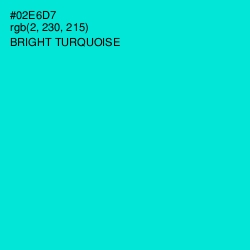 #02E6D7 - Bright Turquoise Color Image