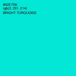 #02E7D6 - Bright Turquoise Color Image