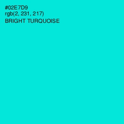 #02E7D9 - Bright Turquoise Color Image