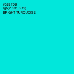 #02E7DB - Bright Turquoise Color Image