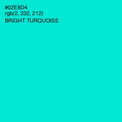 #02E8D4 - Bright Turquoise Color Image