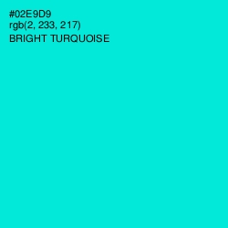 #02E9D9 - Bright Turquoise Color Image