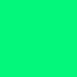 #02F77B - Spring Green Color Image