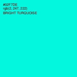 #02F7DE - Bright Turquoise Color Image