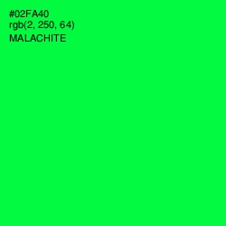 #02FA40 - Malachite Color Image