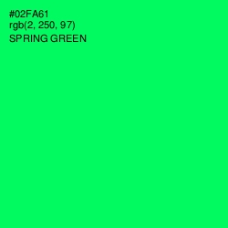 #02FA61 - Spring Green Color Image