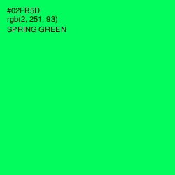 #02FB5D - Spring Green Color Image