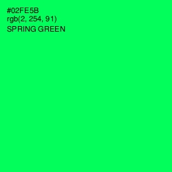 #02FE5B - Spring Green Color Image