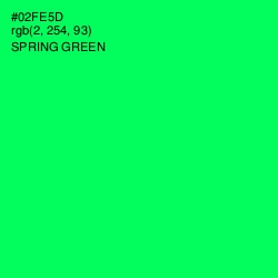 #02FE5D - Spring Green Color Image