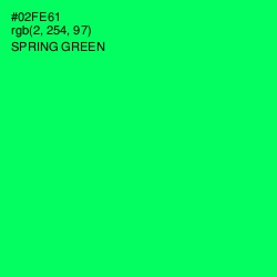 #02FE61 - Spring Green Color Image