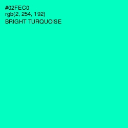 #02FEC0 - Bright Turquoise Color Image