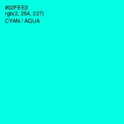 #02FEE3 - Cyan / Aqua Color Image