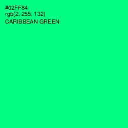 #02FF84 - Caribbean Green Color Image