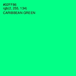 #02FF86 - Caribbean Green Color Image