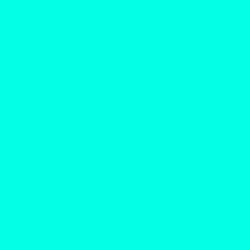 #02FFE6 - Cyan / Aqua Color Image