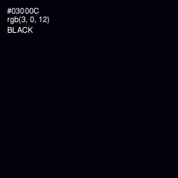 #03000C - Black Color Image
