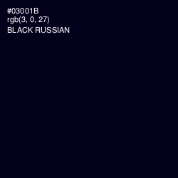 #03001B - Black Russian Color Image