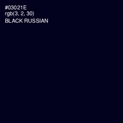 #03021E - Black Russian Color Image