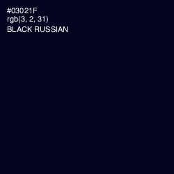 #03021F - Black Russian Color Image