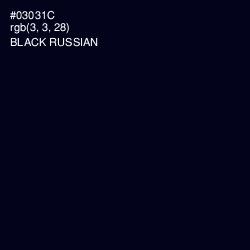 #03031C - Black Russian Color Image