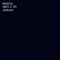 #030516 - Jaguar Color Image