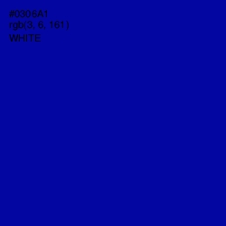 #0306A1 - Ultramarine Color Image