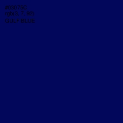 #03075C - Gulf Blue Color Image