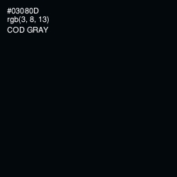 #03080D - Cod Gray Color Image
