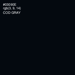 #03090E - Cod Gray Color Image