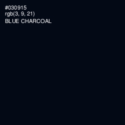 #030915 - Blue Charcoal Color Image