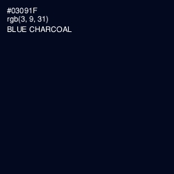 #03091F - Blue Charcoal Color Image