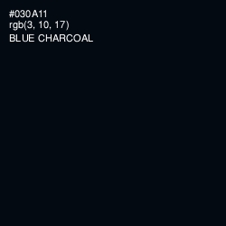 #030A11 - Blue Charcoal Color Image