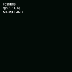 #030B06 - Marshland Color Image