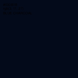 #030B1B - Blue Charcoal Color Image