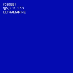 #030BB1 - Ultramarine Color Image