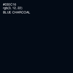 #030C16 - Blue Charcoal Color Image