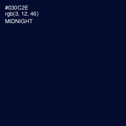 #030C2E - Midnight Color Image