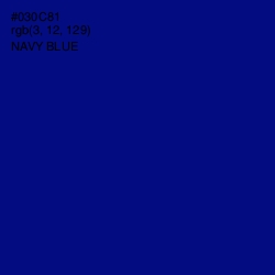 #030C81 - Navy Blue Color Image