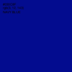 #030C8F - Navy Blue Color Image