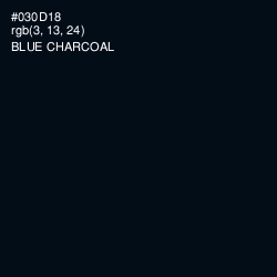 #030D18 - Blue Charcoal Color Image