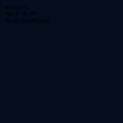 #030D1C - Blue Charcoal Color Image