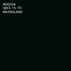 #030E0A - Marshland Color Image