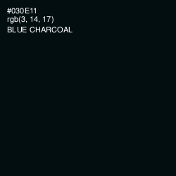 #030E11 - Blue Charcoal Color Image