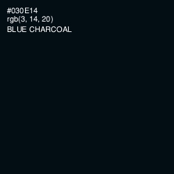 #030E14 - Blue Charcoal Color Image