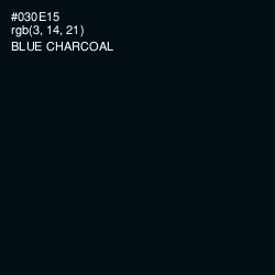 #030E15 - Blue Charcoal Color Image
