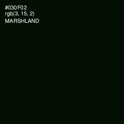 #030F02 - Marshland Color Image