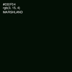 #030F04 - Marshland Color Image