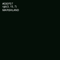 #030F07 - Marshland Color Image